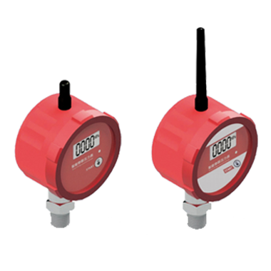 TK82G2M2T5 无线水压表